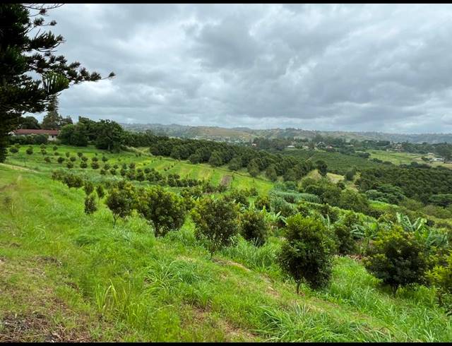 FARM FOR SALE IN IZOTSHA